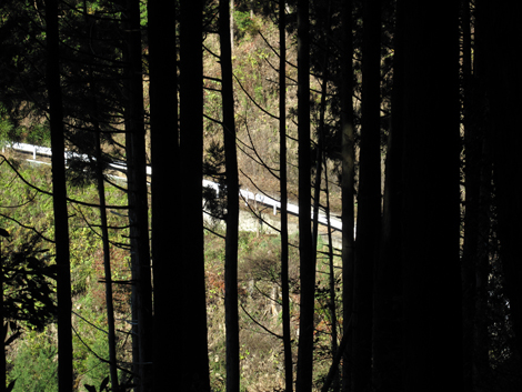 20151127hike (104)